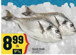 Marché Adonis DAURADE ROYALE | ROYAL SEA BREAM offer