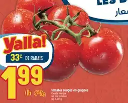 Marché Adonis TOMATES ROUGES EN GRAPPES | RED VINE TOMATOES offer