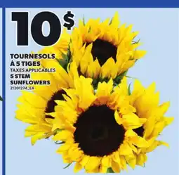 Provigo 5 STEM SUNFLOWERS offer