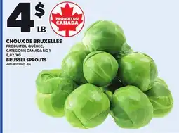 Provigo BRUSSEL SPROUTS offer