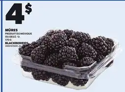Provigo BLACKBERRIES, 170 G offer