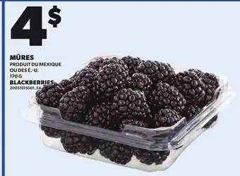 Provigo BLACKBERRIES, 170 G offer