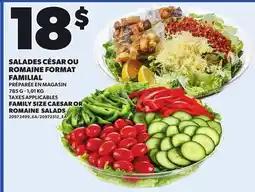 Provigo FAMILY SIZE CAESAR OR ROMAINE SALADS, 785 G - 1,01 KG offer