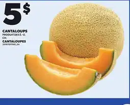 Provigo CANTALOUPES offer