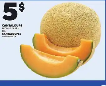 Provigo CANTALOUPES offer