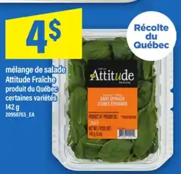 Maxi MÉLANGE DE SALADE ATTITUDE FRAÎCHE, 142 g offer