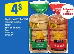 Maxi BAGELS COUNTRY HARVEST | BAGELS, 6 UN offer
