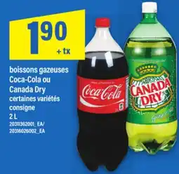 Maxi BOISSONS GAZEUSES COCA-COLA OU CANADA DRY, 2 L offer