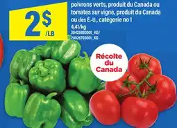 Maxi POIVRONS VERTS, TOMATES SUR VIGNE offer