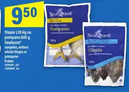 Maxi TILAPIA 1,36 KG OU POMPANO 800 G SEAQUEST | WHOLE TILAPIA OR POMPANO offer