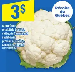 Maxi CHOU-FLEUR | CAULIFLOWER offer