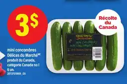 Maxi MINI CONCOMBRES DÉLICES DU MARCHÉ, 6 UN offer