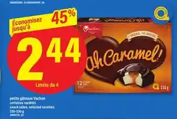 Maxi PETITS GÂTEAUX VACHON, 250-336 G offer
