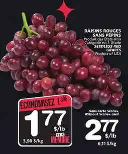 Marches Tradition SEEDLESS RED GRAPES offer