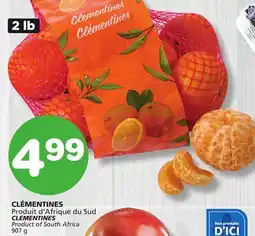 Marches Tradition CLEMENTINES offer