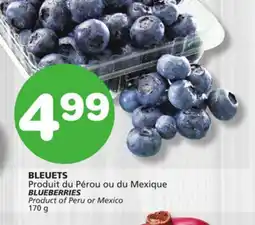 Marches Tradition BLUEBERRIES offer
