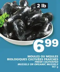 Marches Tradition FRESH CULTIVATED MUSSELS OR ORGANIC MUSSELS offer