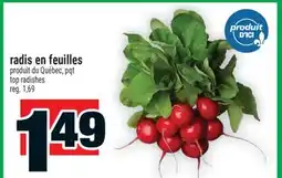 Super C radis en feuilles | top radishes offer