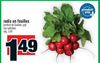 Super C radis en feuilles | top radishes offer