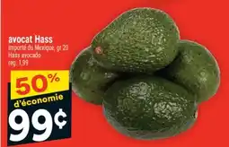 Super C avocat Hass | Hass avocado offer