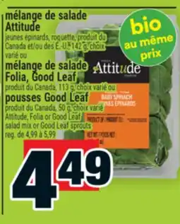 Super C mélange de salade Attitude | Attitude, Folia or Good Leaf salad mix or Good Leaf sprouts offer