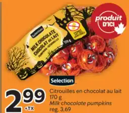 Brunet SELECTION Citrouilles en chocolat au lait offer