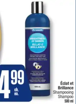 Jean Coutu PERSONNELLE Brillance Shampoo offer
