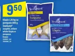 Maxi SeaQuest Tilapia or Pompano offer