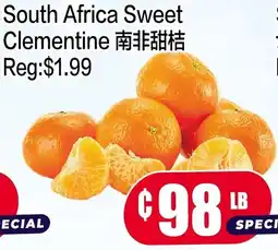 Fusion Supermarket South africa sweet clementine offer