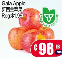 Fusion Supermarket Gala Apple offer