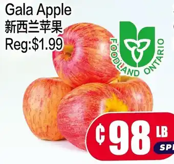 Fusion Supermarket Gala Apple offer