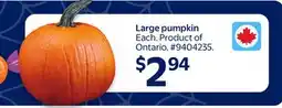 Walmart Large Pumpkin offer