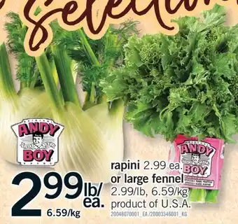 Fortinos RAPINI OR LARGE FENNEL offer