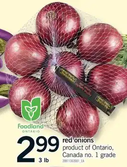 Fortinos RED ONIONS, 3 LB offer