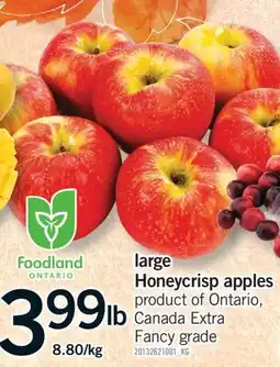 Fortinos LARGE HONEYCRISP APPLES offer