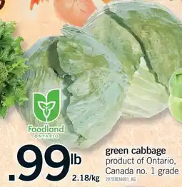 Fortinos GREEN CABBAGE offer