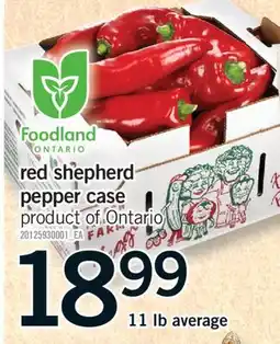 Fortinos RED SHEPHERD PEPPER CASE, 11 lb average offer