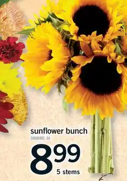 Fortinos SUNFLOWER BUNCH, 5 STEMS offer