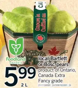Fortinos LOCAL BARTLETT OR BOSC PEARS, 2 L offer