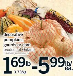 Fortinos DECORATIVE PUMPKINS, GOURDS OR CORN offer