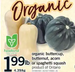 Fortinos ORGANIC BUTTERCUP, BUTTERNUT, ACORN OR SPAGHETTI SQUASH offer