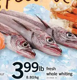 Fortinos FRESH WHOLE WHITING offer