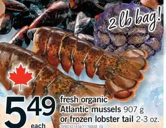 Fortinos FRESH ORGANIC ATLANTIC MUSSELS, 907 G OR FROZEN LOBSTER TAIL, 2-3 OZ offer