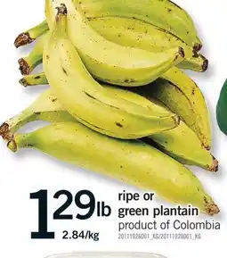 Fortinos RIPE OR GREEN PLANTAIN offer