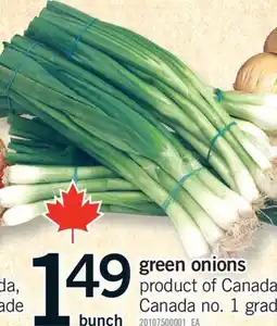 Fortinos GREEN ONIONS, BUNCH offer
