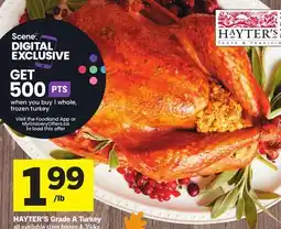 Foodland HAYTER'S Grade A Turkey offer