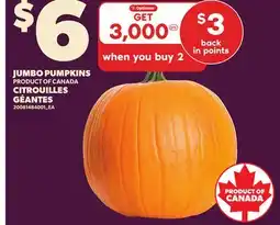 Independent Grocer JUMBO PUMPKINS offer