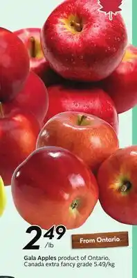 Sobeys Gala Apples - Apple Fest offer