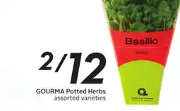 Sobeys GOURMA Potted Herbs offer
