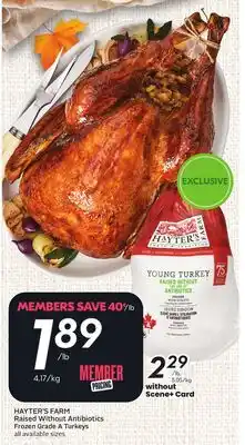 Sobeys HAYTER'S FARM Raised Without Antibiotics Frozen Grade A Turkeys offer